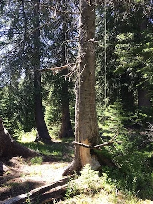 photo: Crys Moore - koan #2 (hanging and draping)