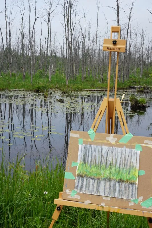  Spry Lake Road - Oliphant