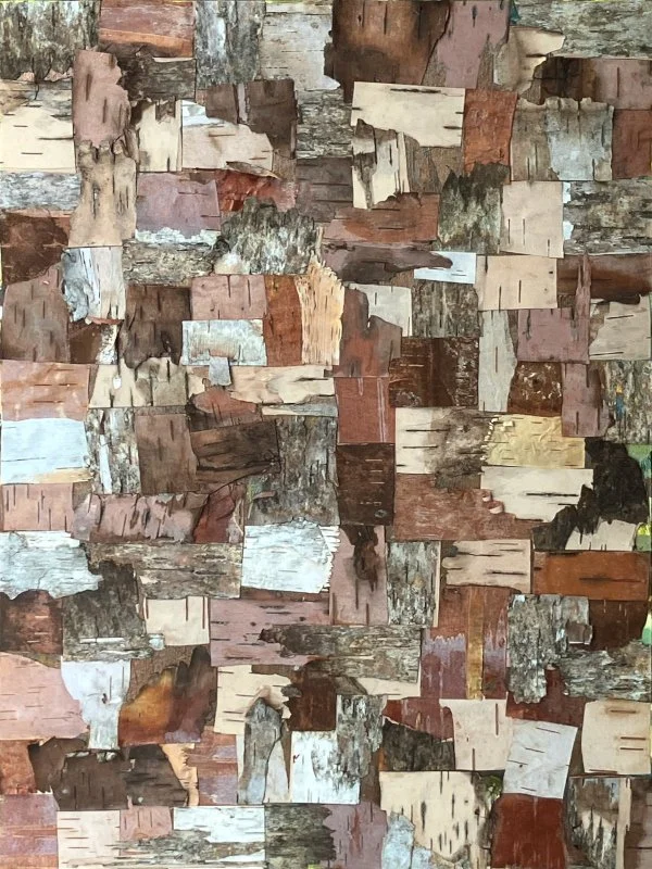 Birch Bark Collage 6. Birch Bark on Birch panel