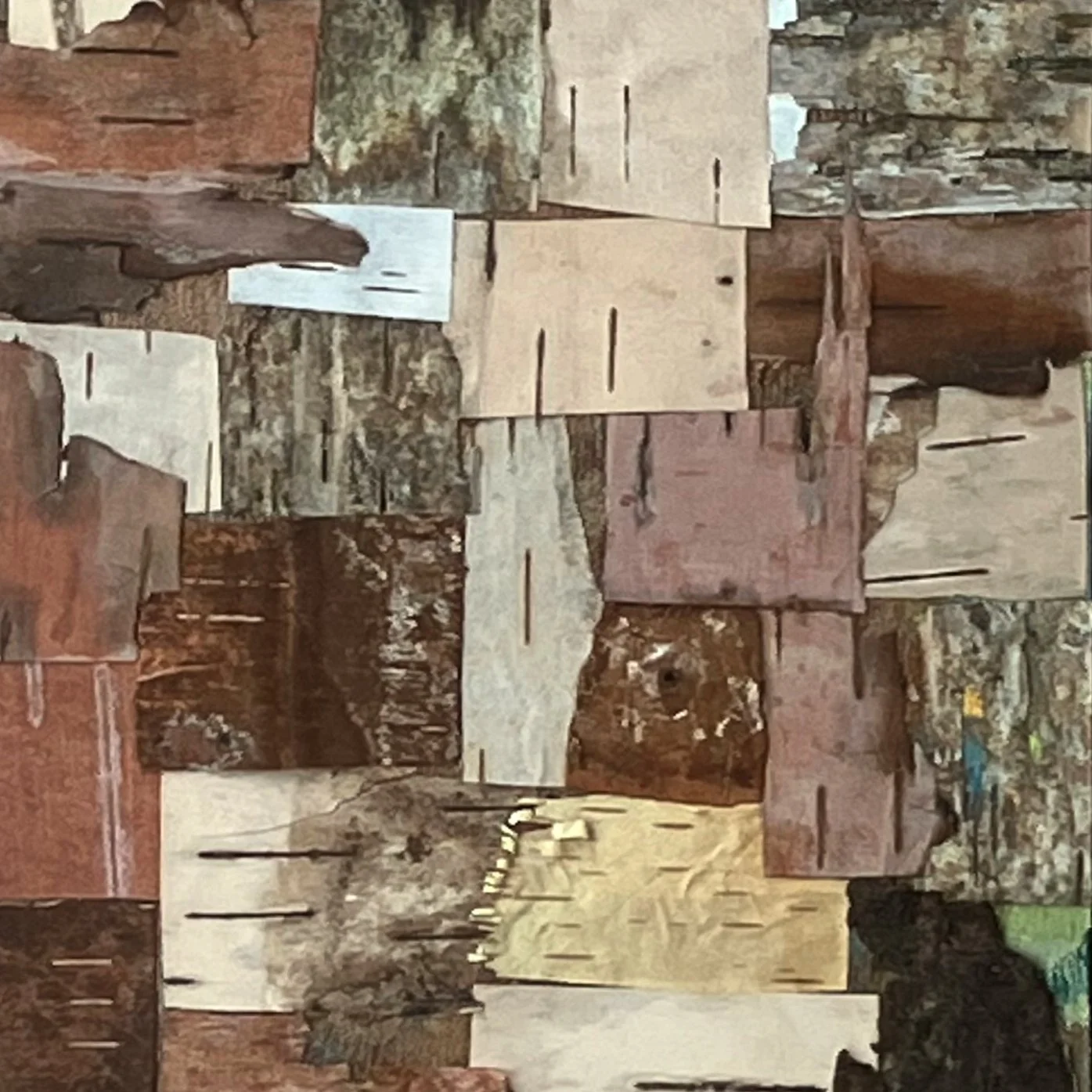 Birch Bark Collage 6 (Detail). Birch Bark on Birch panel