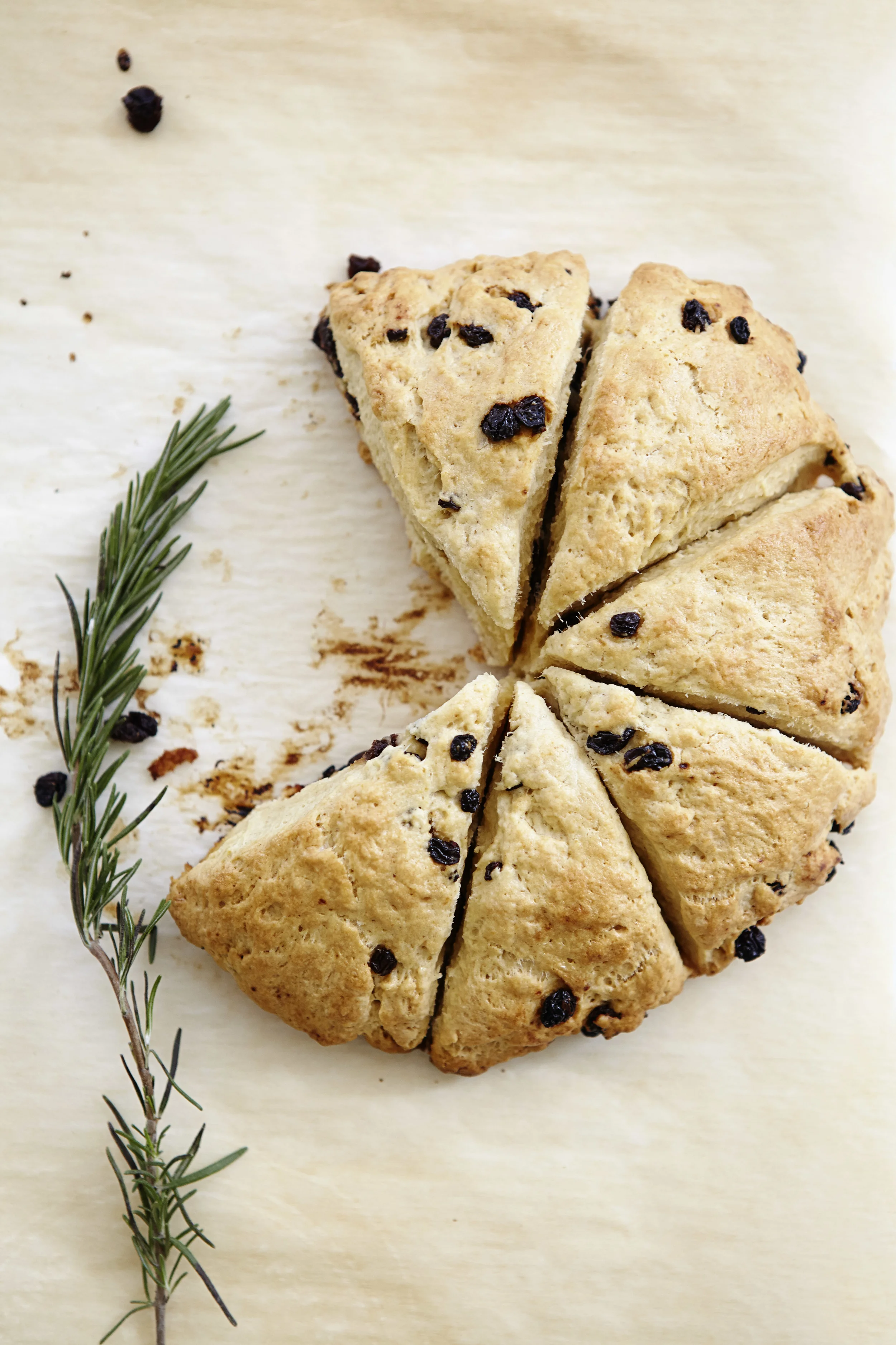 Lua Williams Food Photography