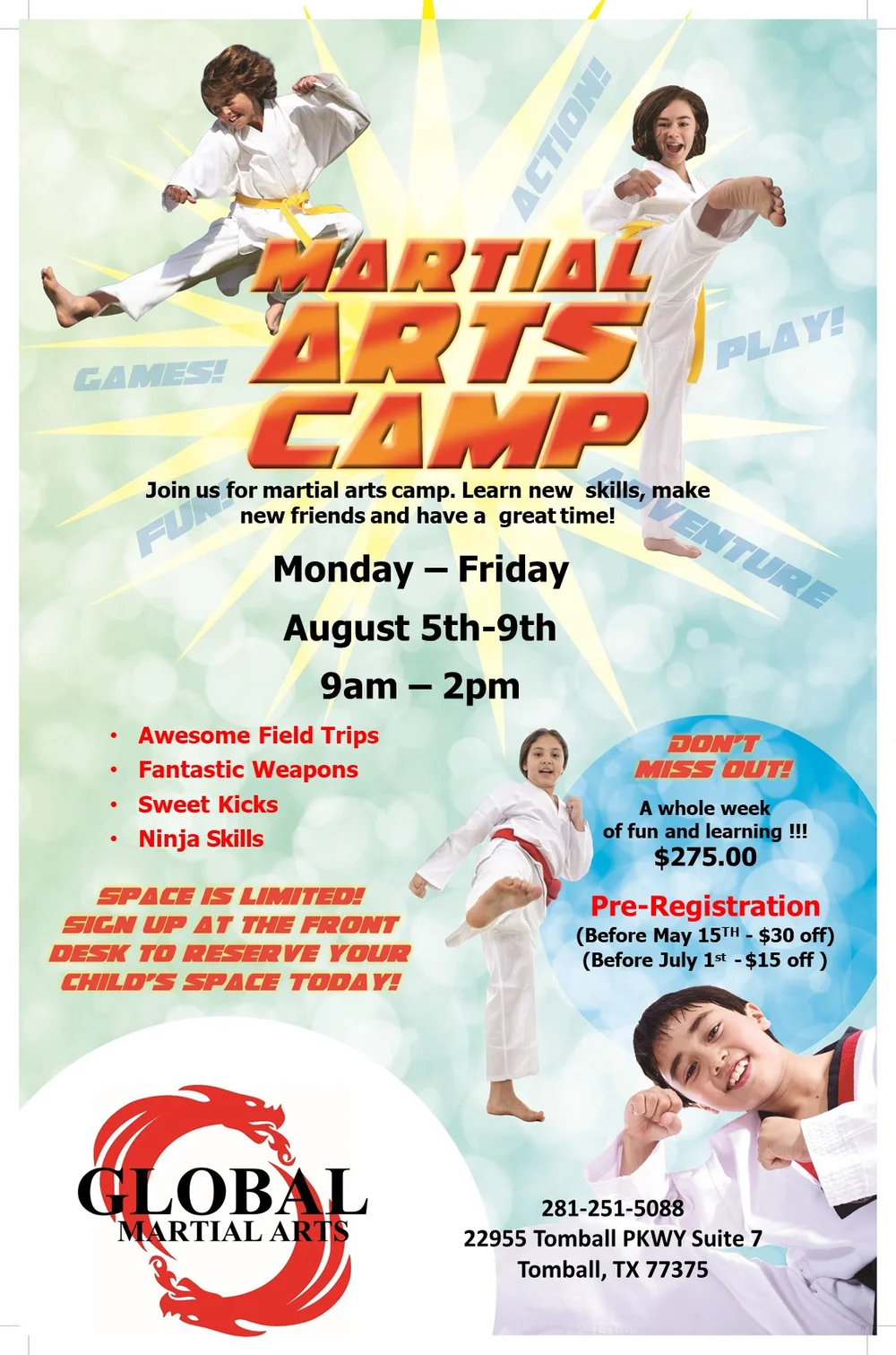 world martial arts day