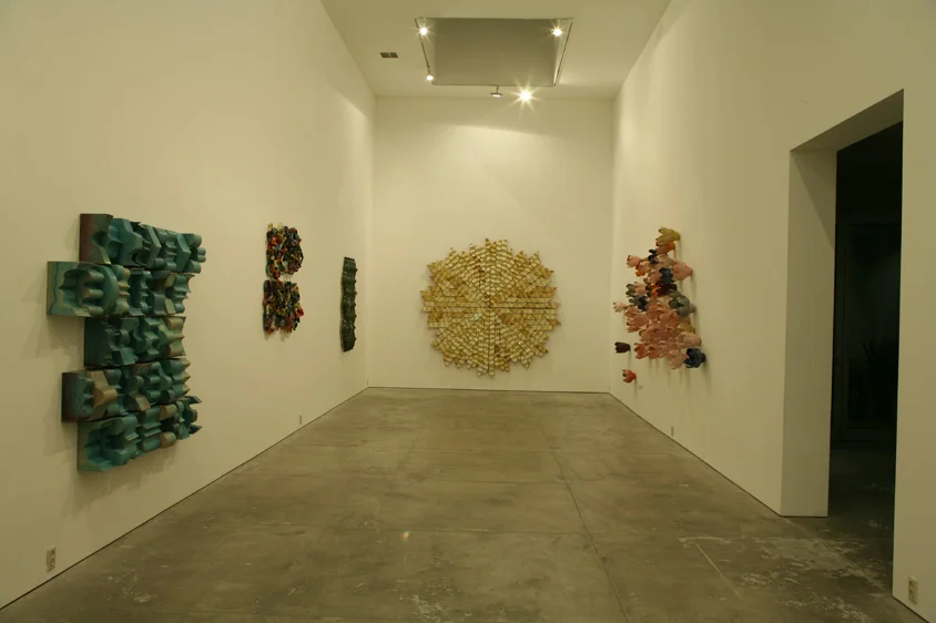 Overview-Solo Exhibition1.JPG