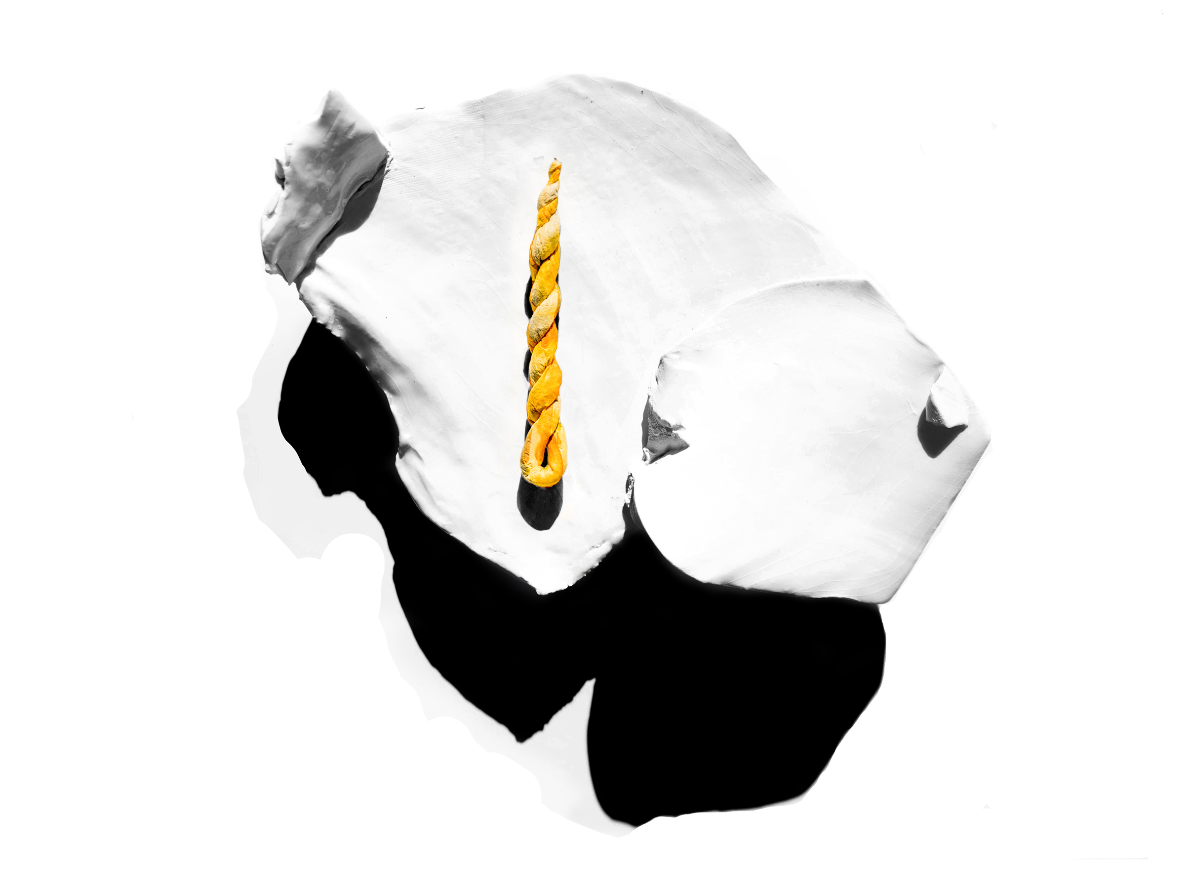 UO_WEB_4x3_FREELY.jpg