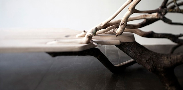 Fallen Tree Bench