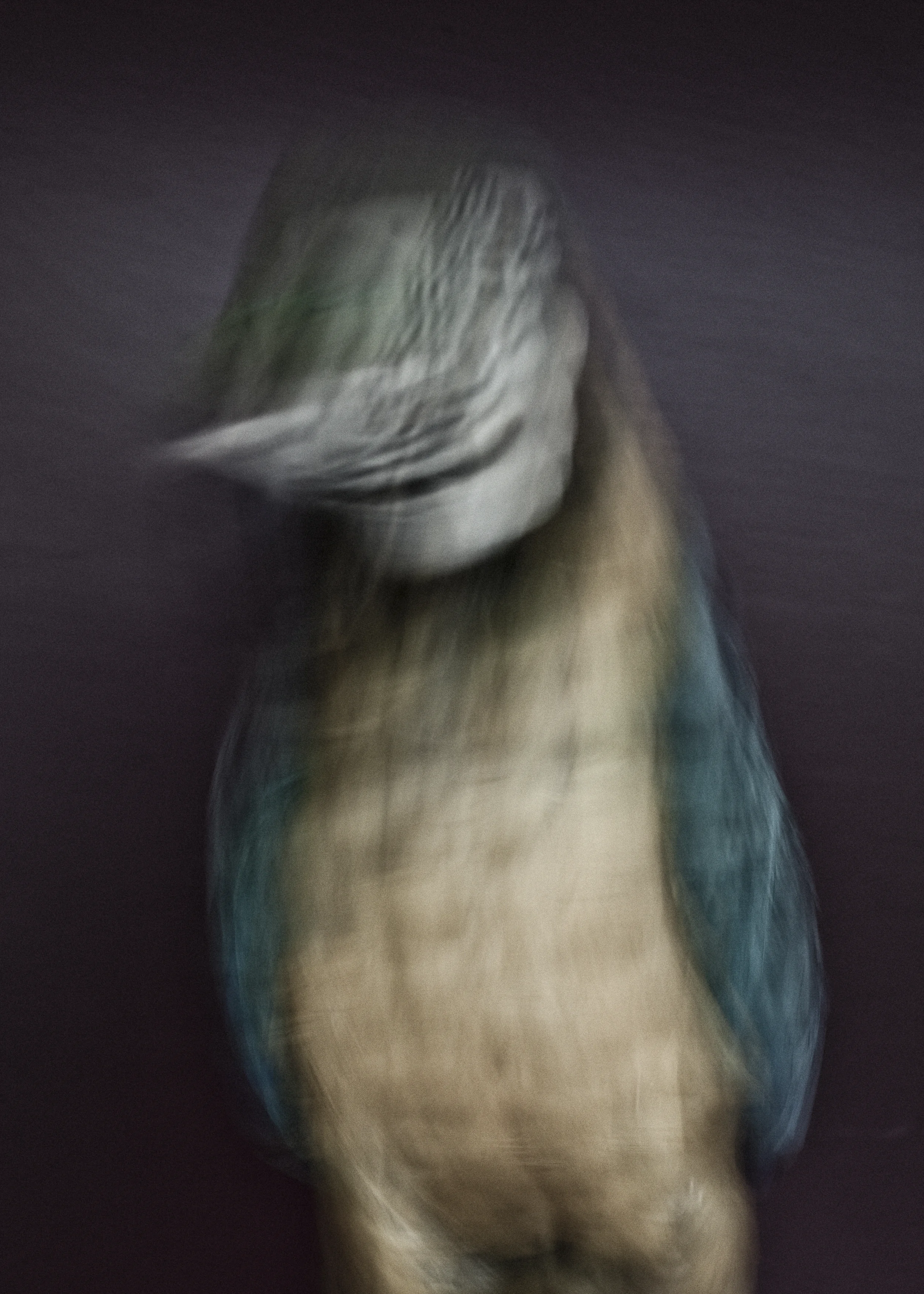untitled.jpg
