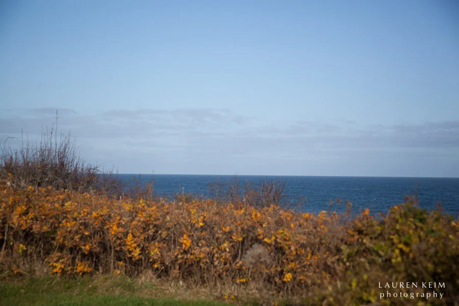 sconset-32.jpg