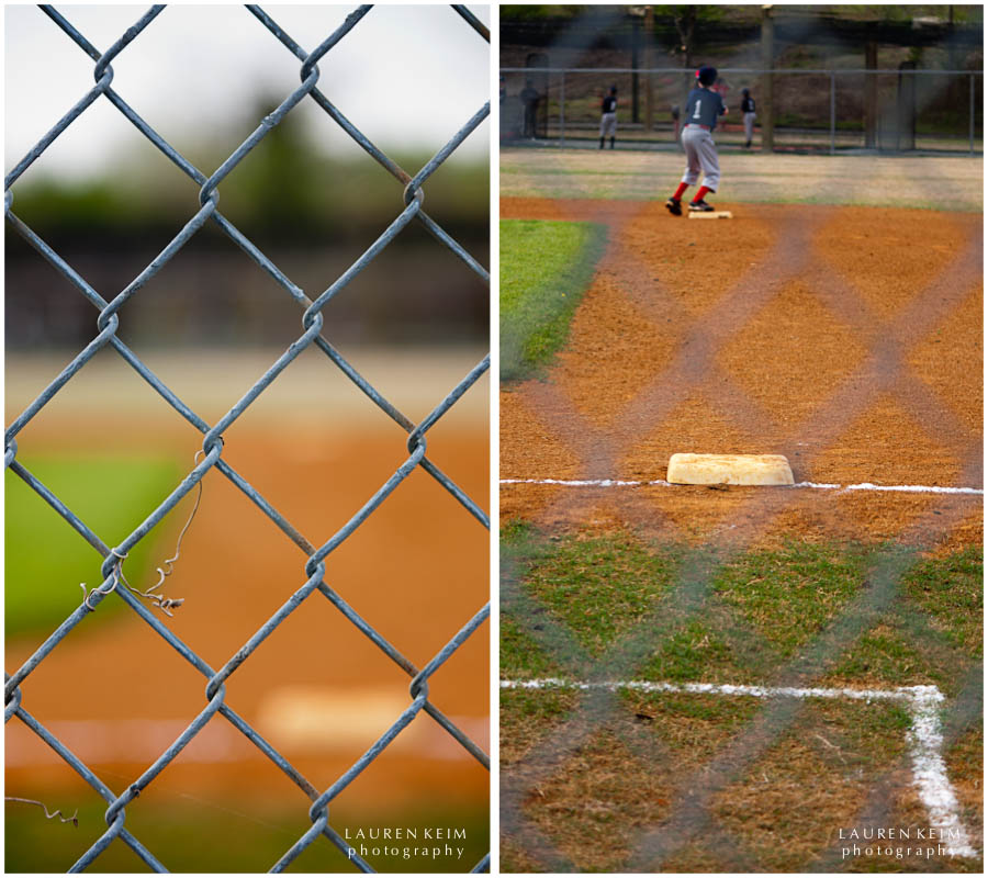 fence.jpg