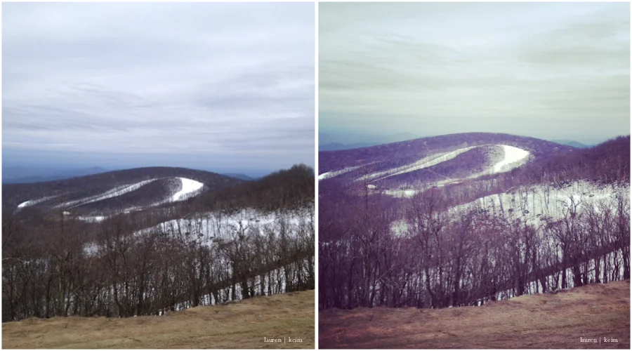 snow moves in.jpg