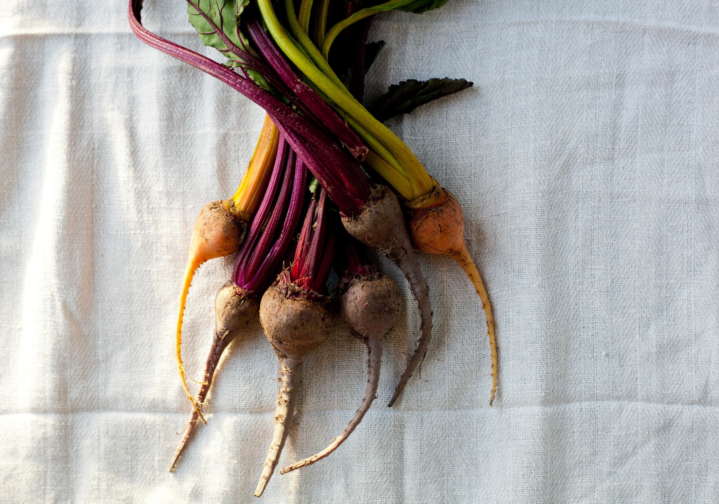 0112_beets1-1.jpg