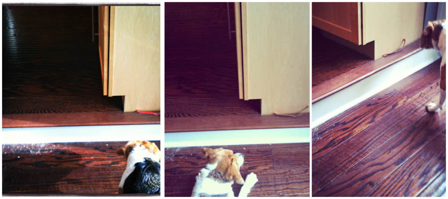 lucy_object.jpg