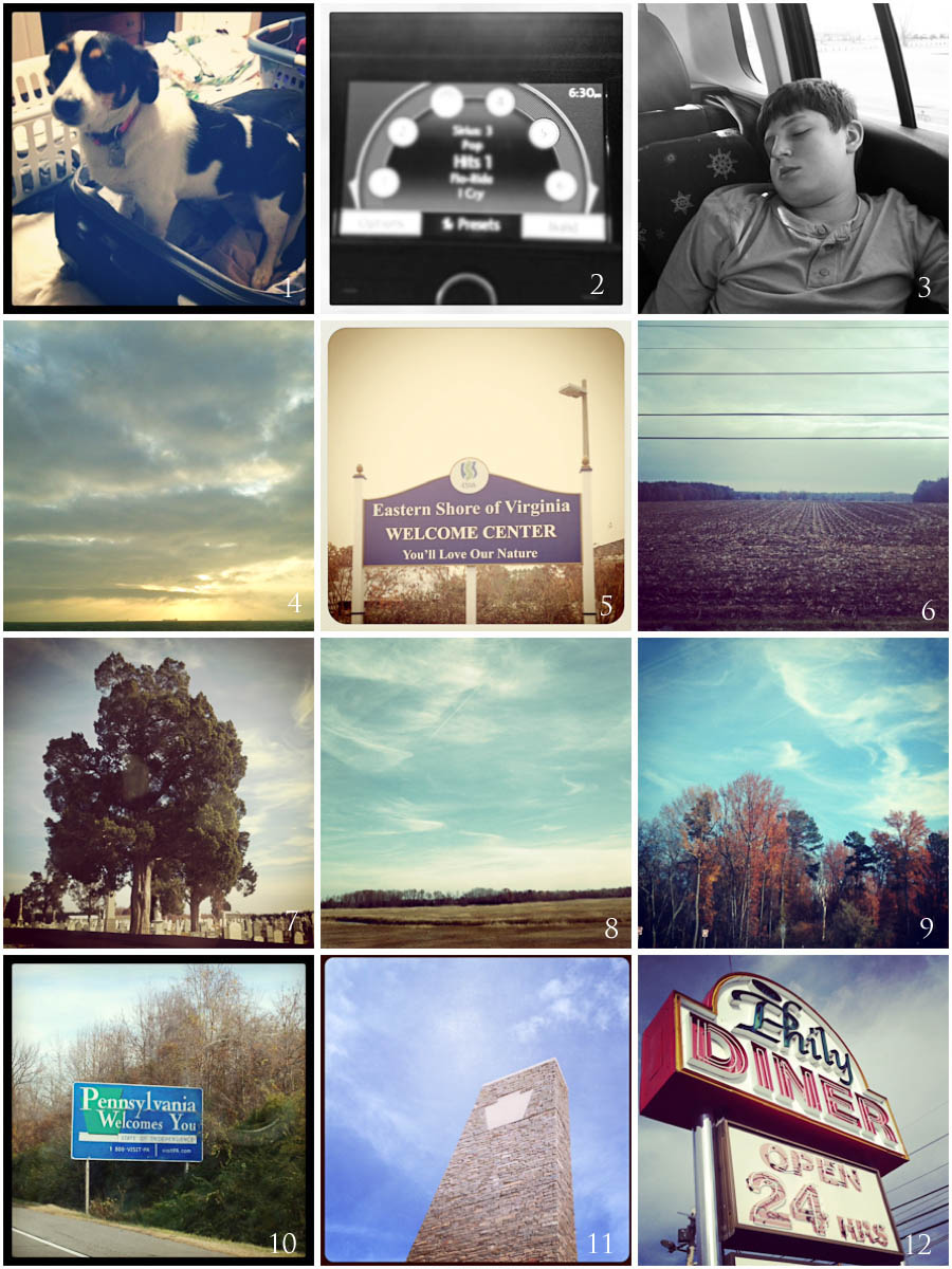 trip collage 1 copy.jpg