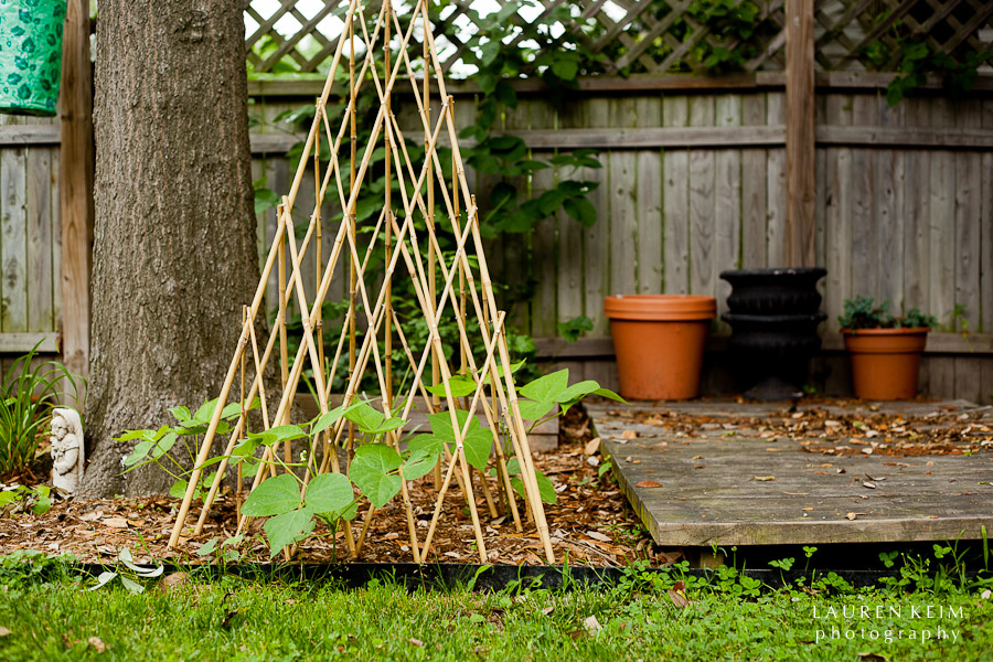 0512_Neels_Garden4.jpg