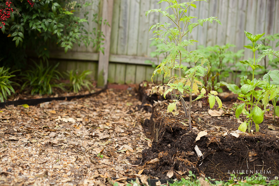 0512_Neels_Garden3.jpg