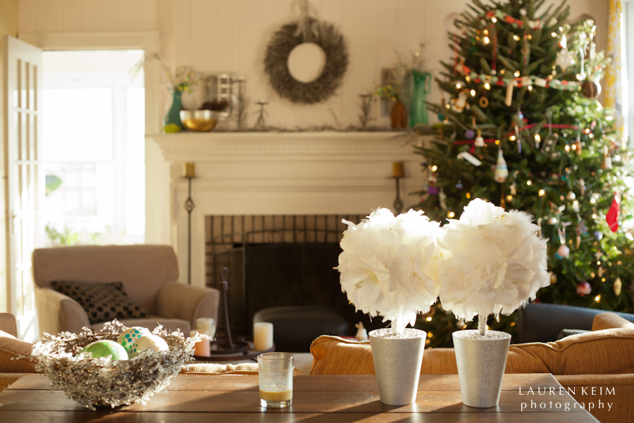 holiday_house-3.jpg