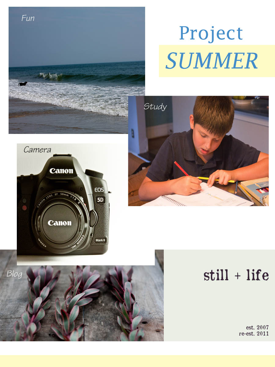 project summer.jpg