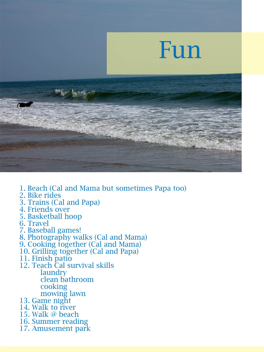 Project Summer_Fun.jpg