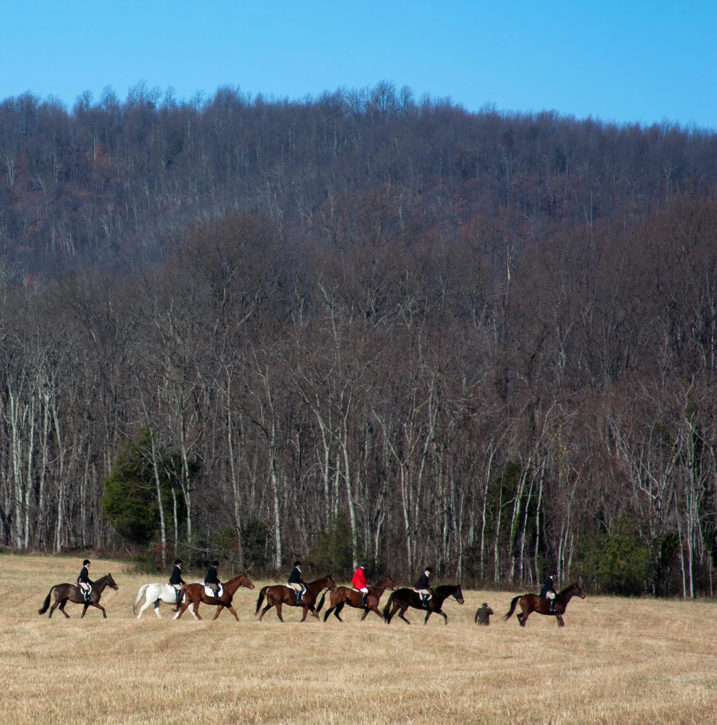 1111_Blessing_Hounds167.jpg
