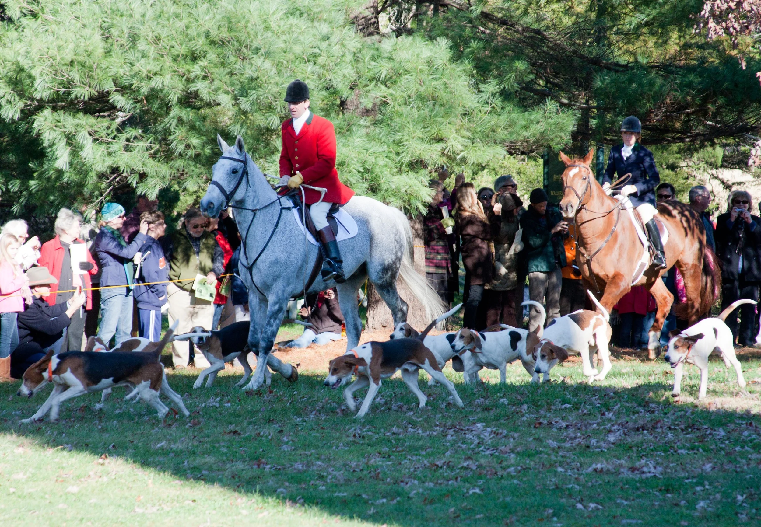 1111_Blessing_Hounds30.jpg