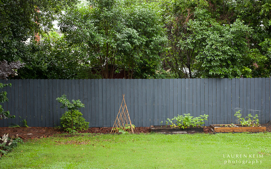 0512_Fenced_In5-5.jpg