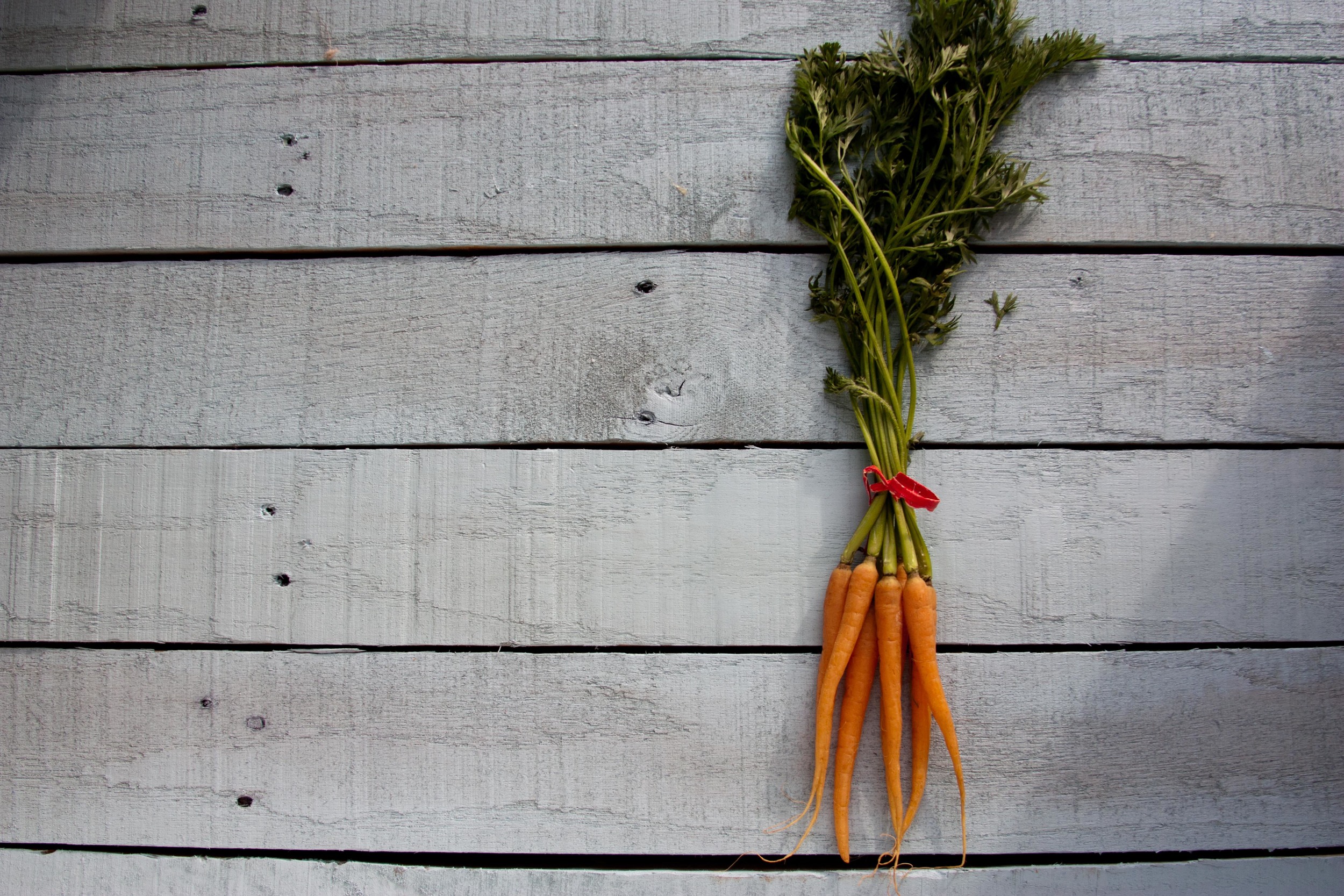 1211_carrots5.jpg
