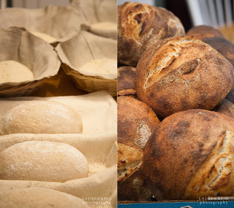 dough to bread.jpg