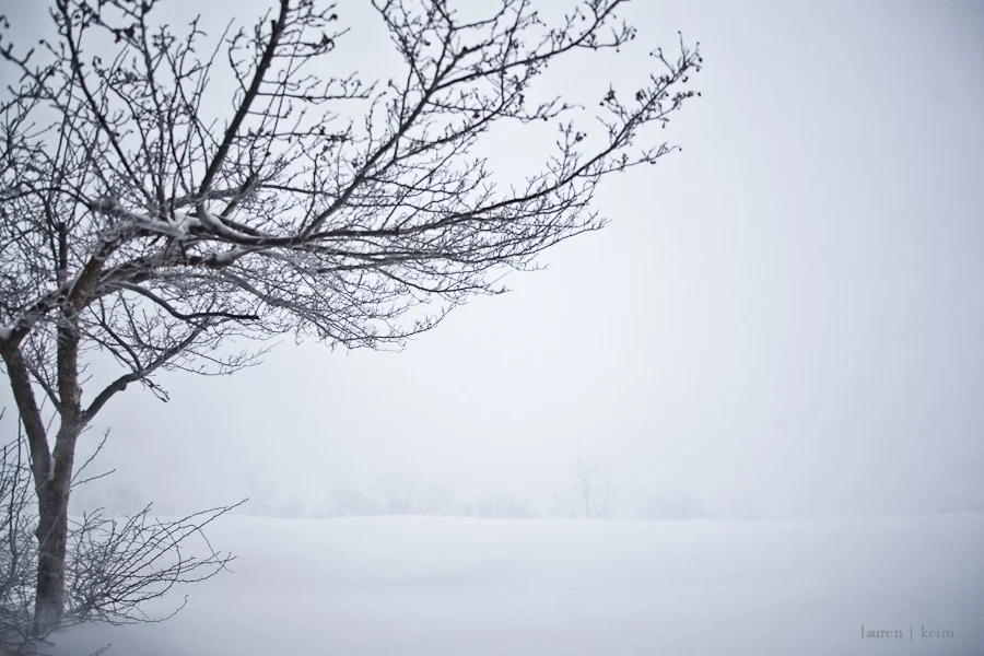 Dream Snow-2.jpg