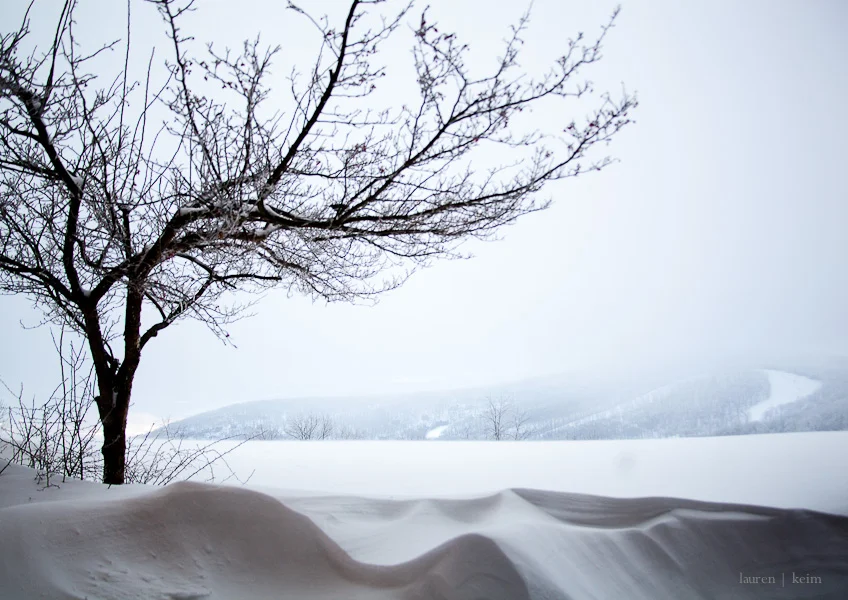 Dream Snow-4.jpg