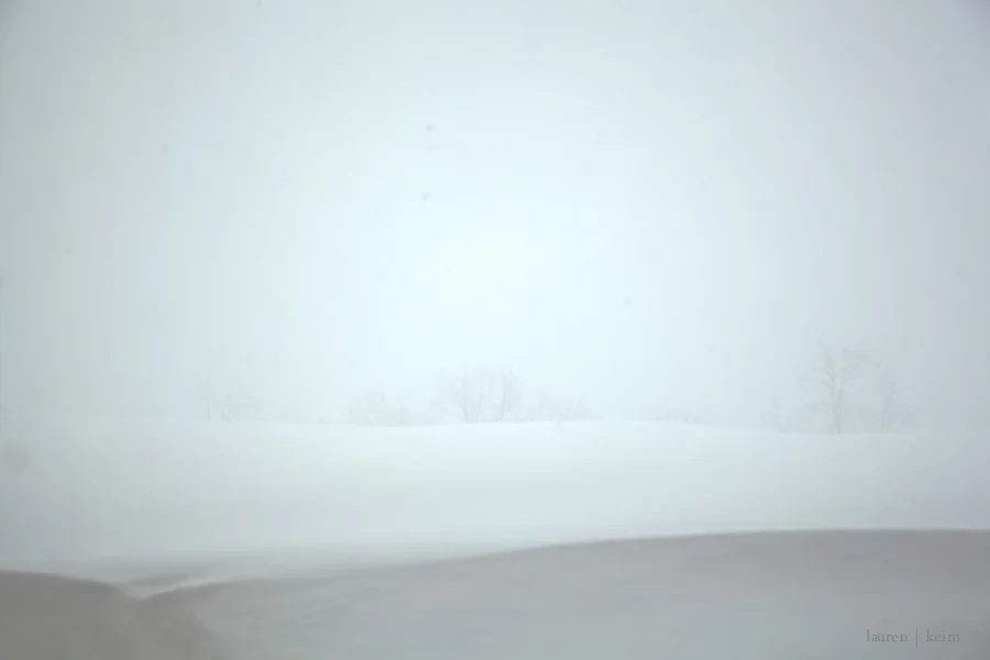 Dream Snow-3.jpg
