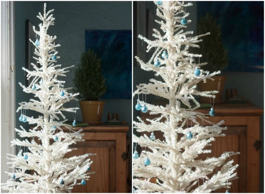 trees_collage.jpg