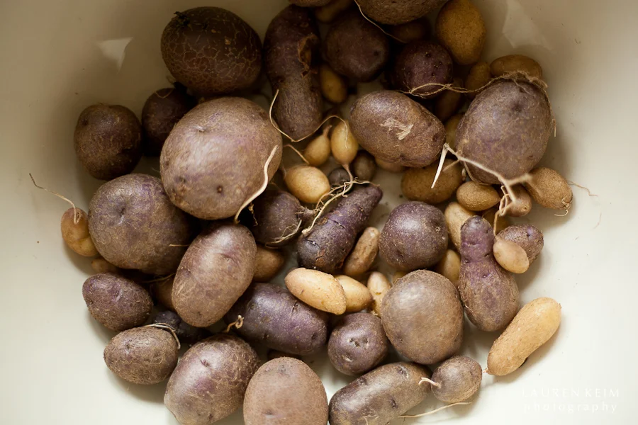 potatoes-3.jpg