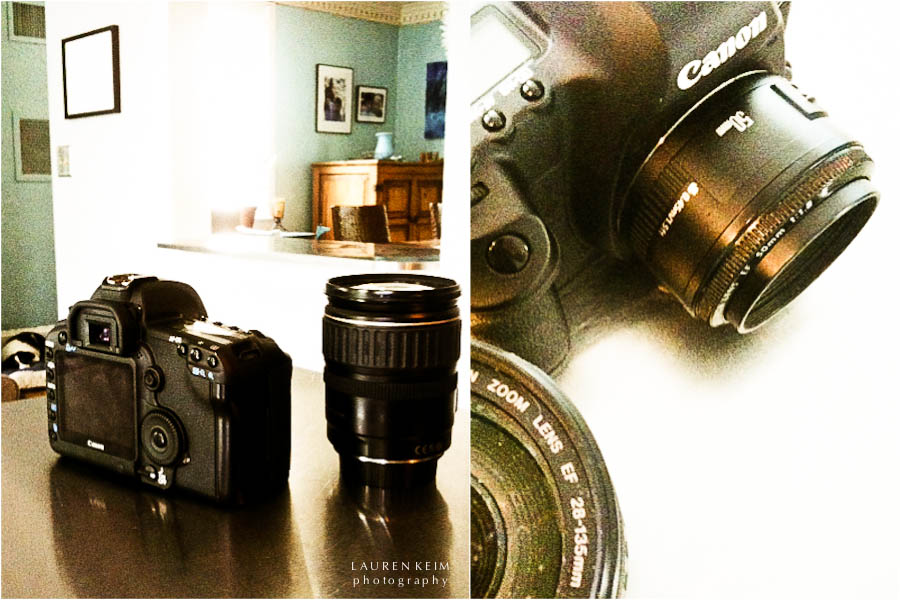 cameras.jpg