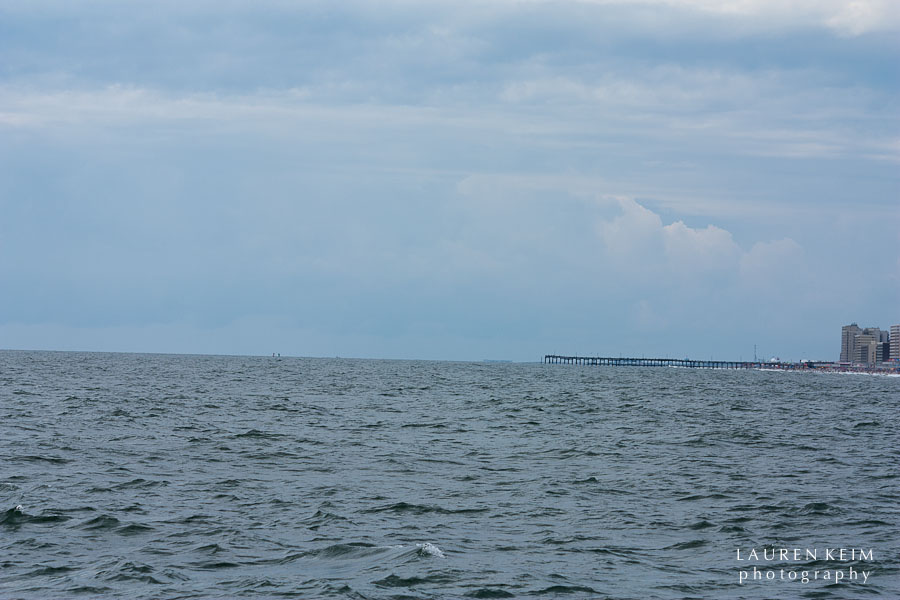 flipper-8.jpg