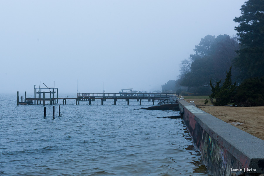river view-7.jpg