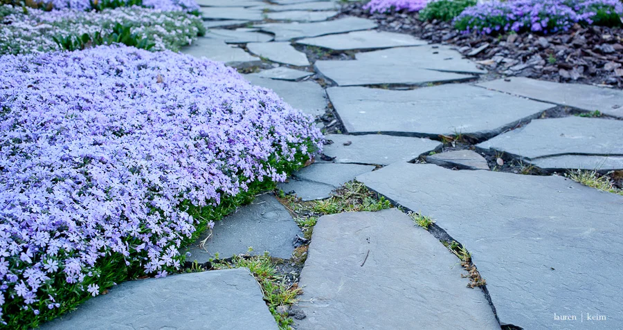 spring garden-7.jpg