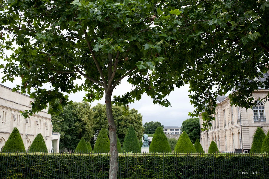 Rodin's garden