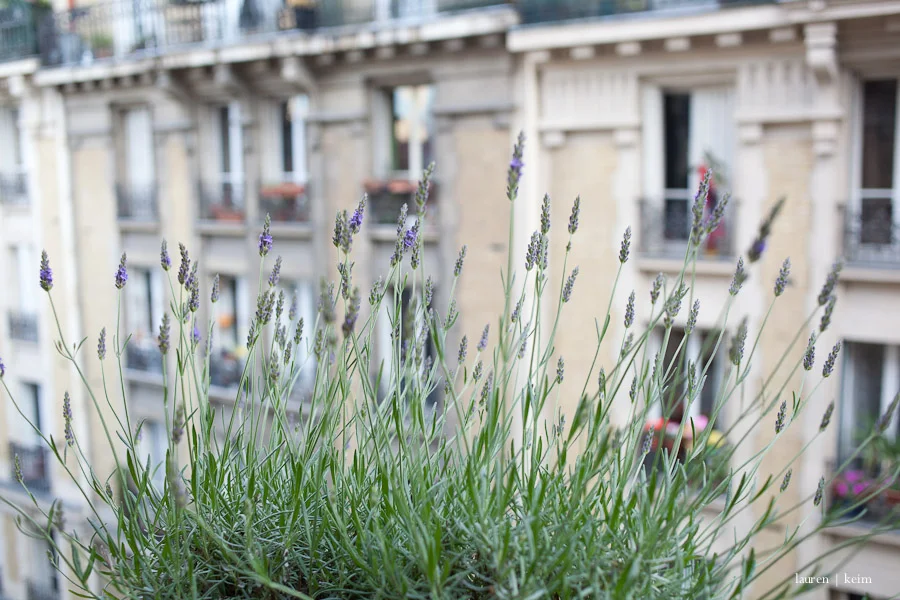 Pretty Paris