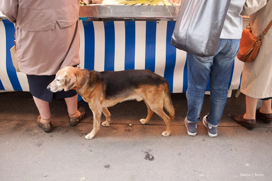 Market Day, Paris 2013