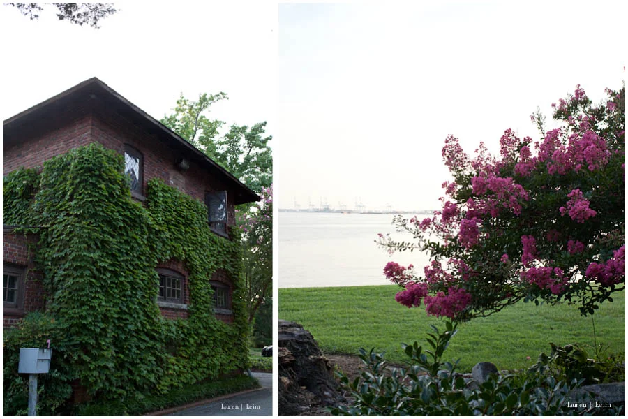 herm_house_tree.jpg