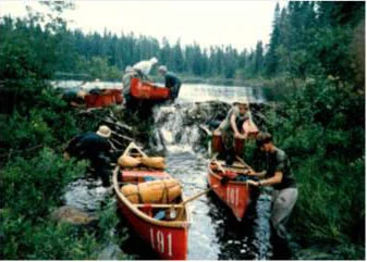 Beaver dam