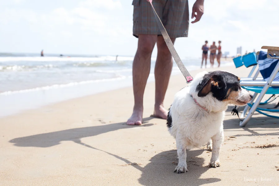 violet_beach-3.jpg