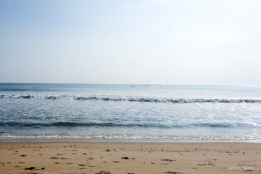 wednesdaywalk-4.jpg