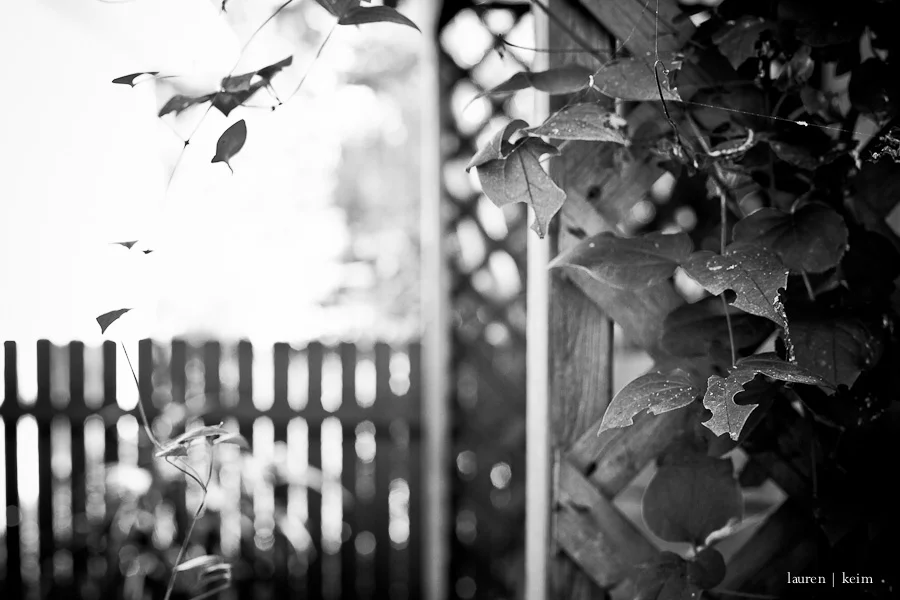 blackandwhite-3.jpg