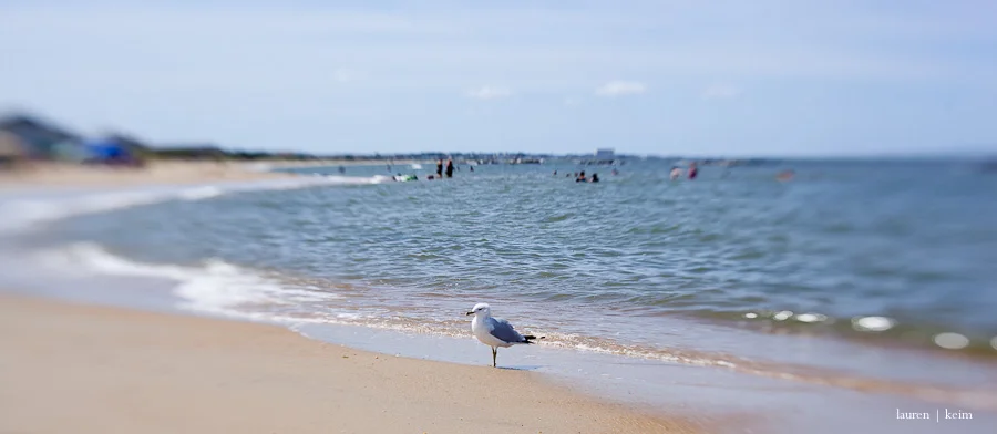 lensbaby-6.jpg