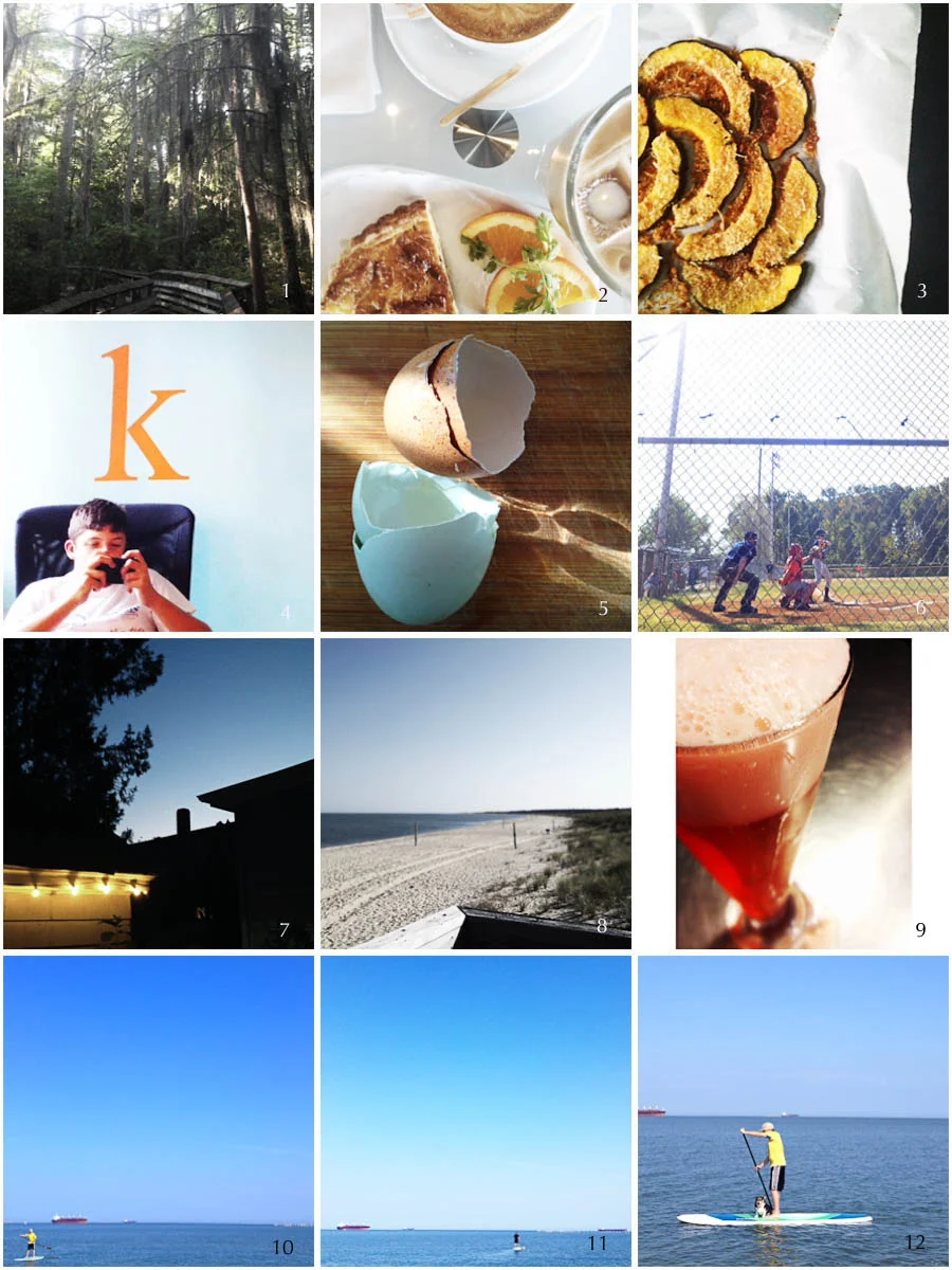 1. friday hike | 2. photo prompt (paper) | 3. noreen's squash | 4. pre-game ritual | 5. pre-game breakfast | 6. game | 7. saturday night | 8. photo prompt (corner) | 9. campari shandy (because it feels like summer | 10. cal paddles | 11. neel paddles | 12. fatty paddles