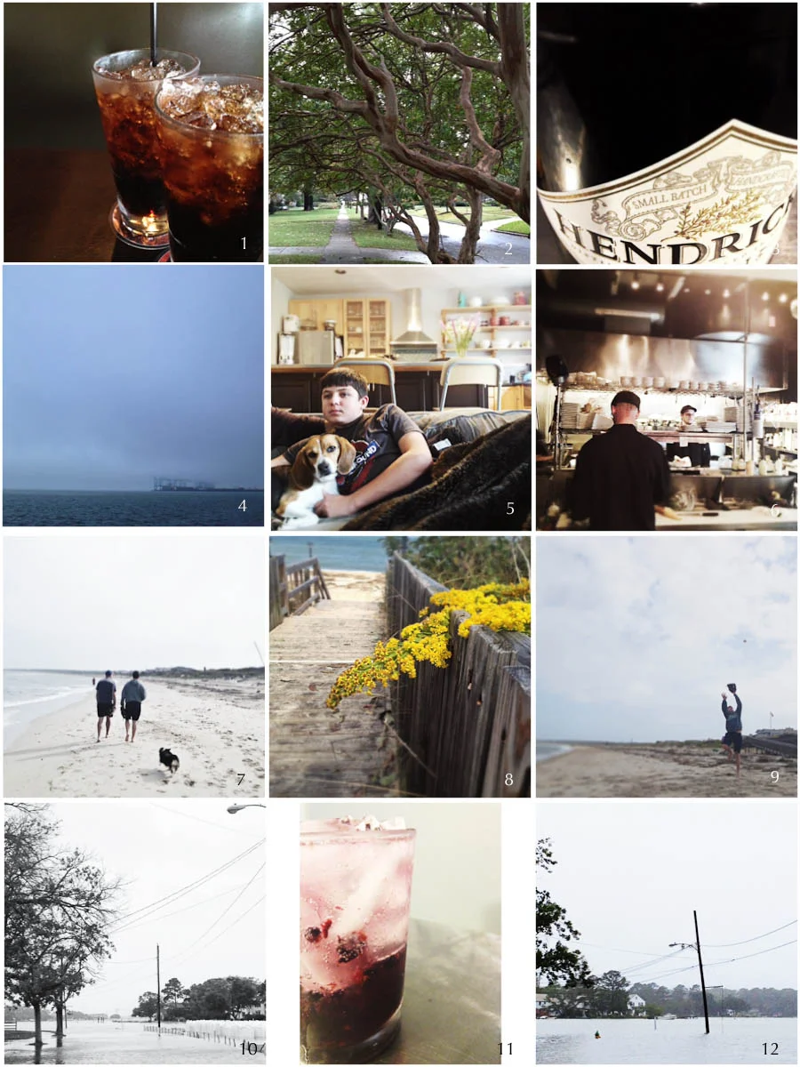 1. lunch date | 2. river walk | 3. gin and tonic | 4. foggy morning | 5. deliverance | 6. dinner theater | 7. sunday walk | 8. bright spot | 9. ball boy | 10. tidewater | 11. medicinal | 12. tidewater, part 2