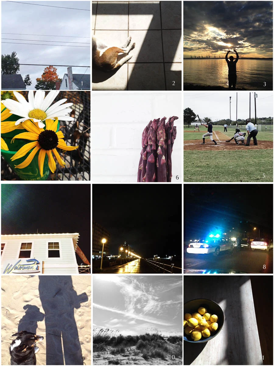 1. autumn sunrise | 2. studio hound | 3. silhouette | 4. fall bouquet | 5. studio work | 6. fall ball | 7. local hangout | 8. nighttime walk | 9. Emergency! | 10. surprise selfie | 11. bay day | 12. sunday sunshine