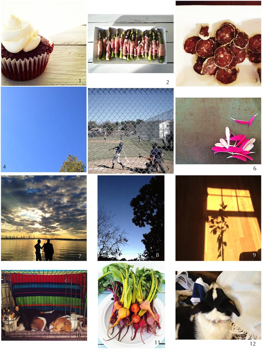 1. red velvet | 2. easy appetizer | 3. wild boar salami | 4. october sky | 5. saturdays these days | 6. wabi sabi | 7. (prompt) my favorite | 8. (october) night sky | 9 shadow | 10. three in the bed | 11. bounty | 12. sundays, the way I like them