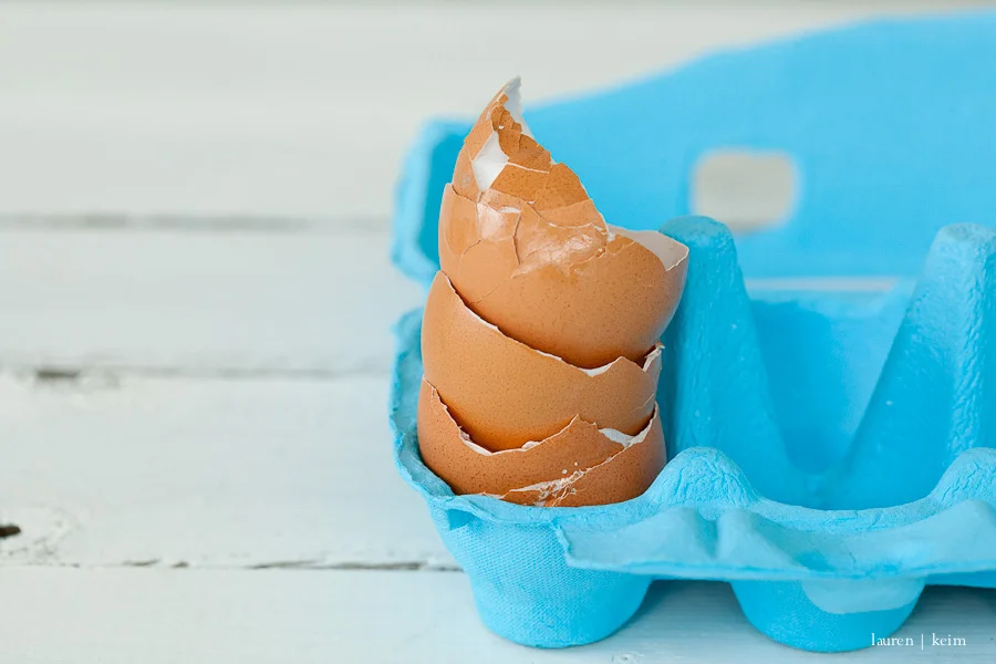 egg-4.jpg