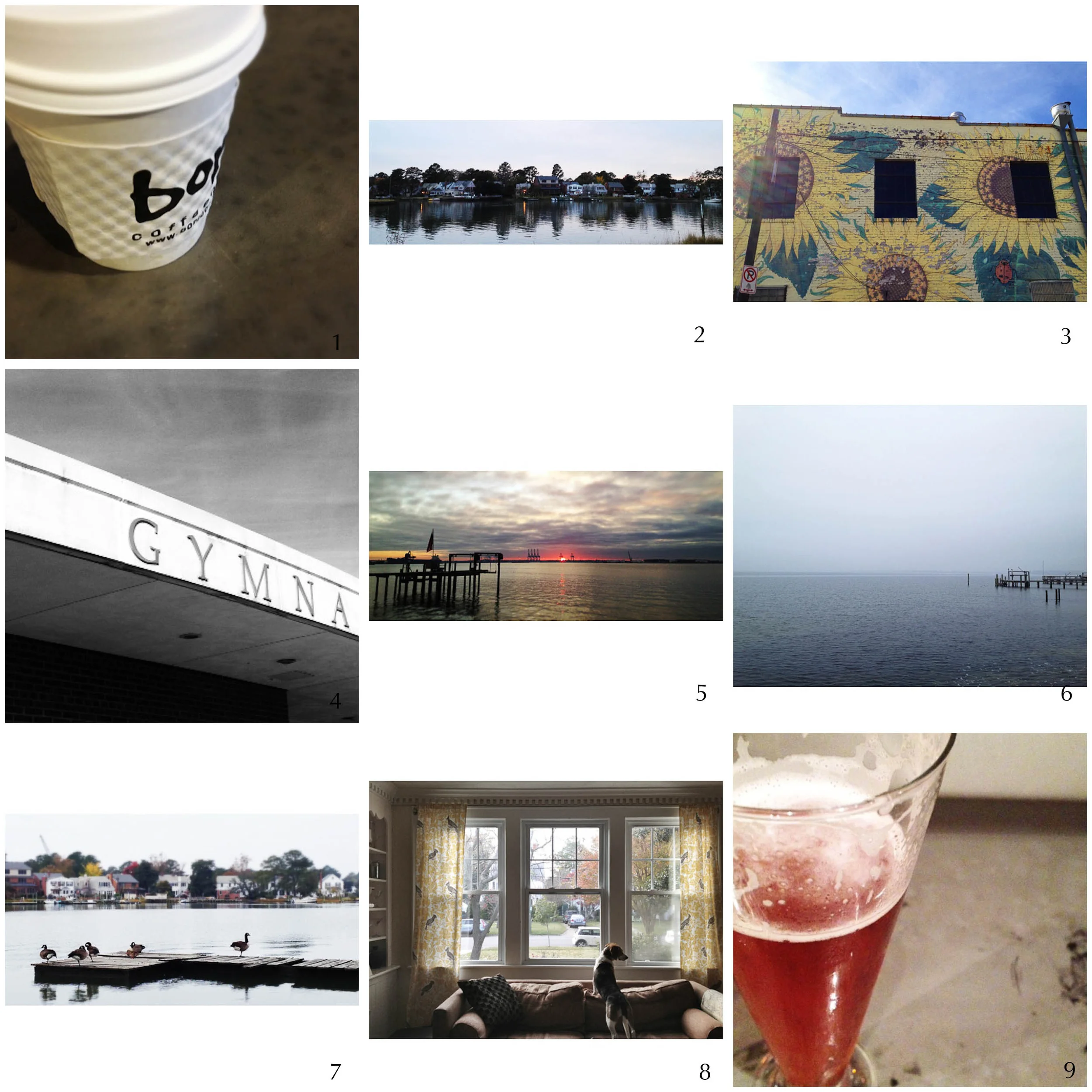 1. out of coffee! | 2. twilight on the river | 3. breakfast | 4. voting day (again) | 5. surprise sunset | 6. foggy morning | 7. goose walk | 8. on guard | 9. shandy sunday night 